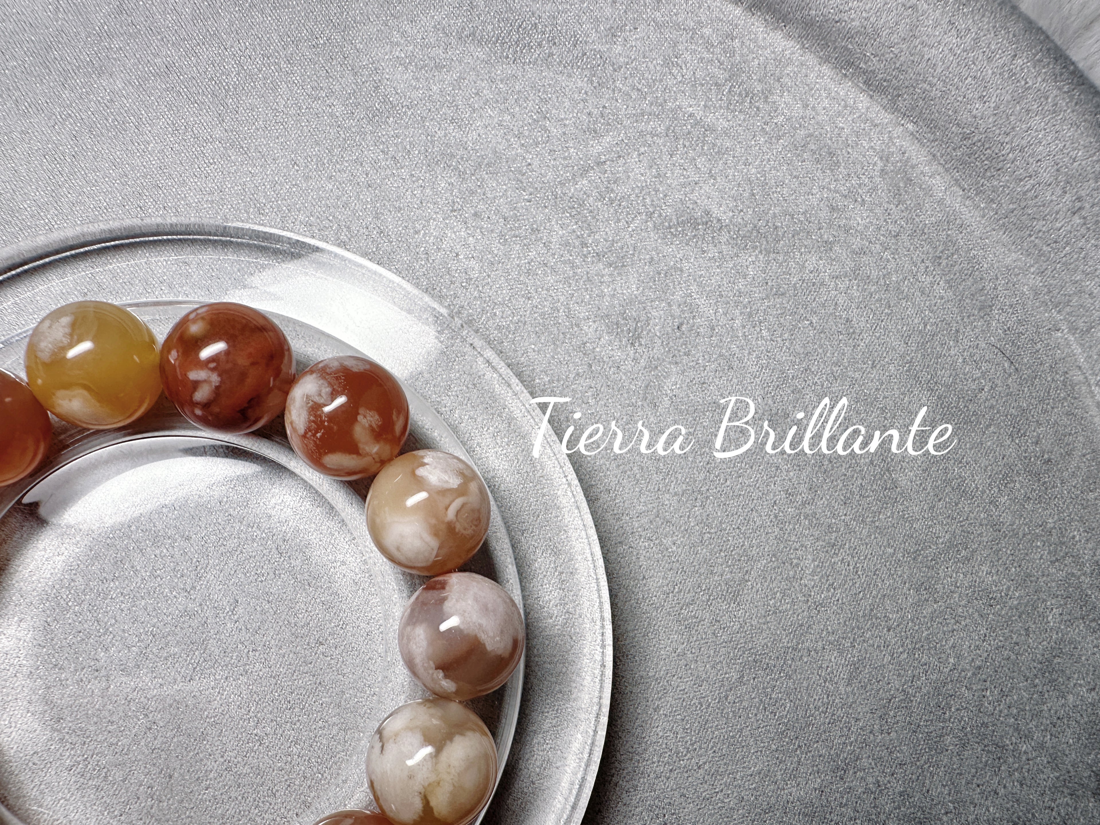 Autumn of Red Maples