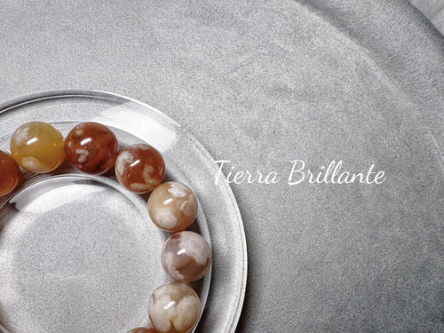 Autumn of Red Maples