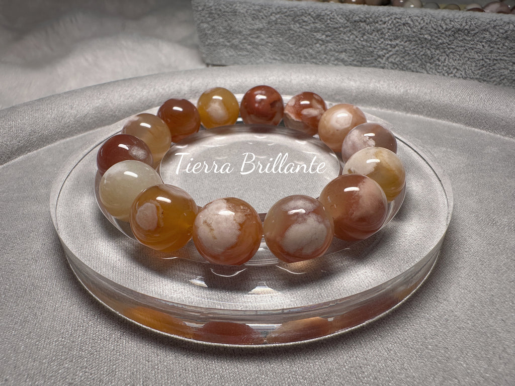 Autumn of Red Maples