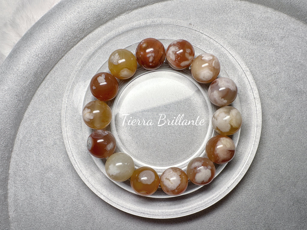 Autumn of Red Maples