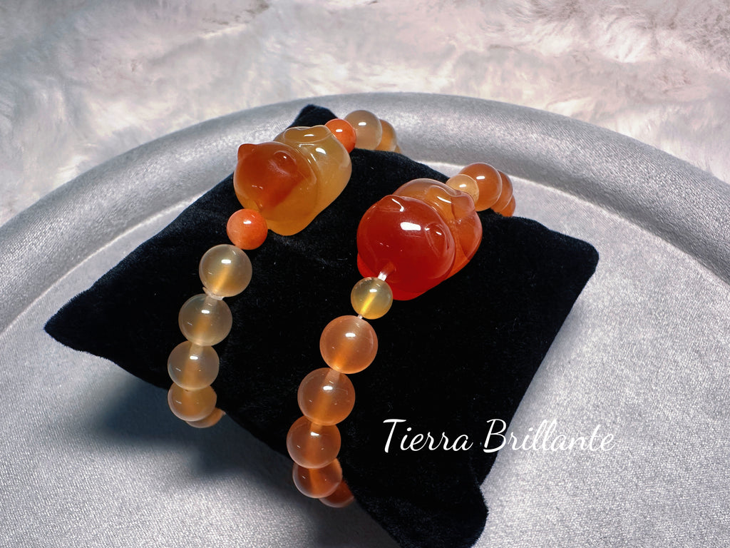 Cat · Bread Toast & Sweet Potato