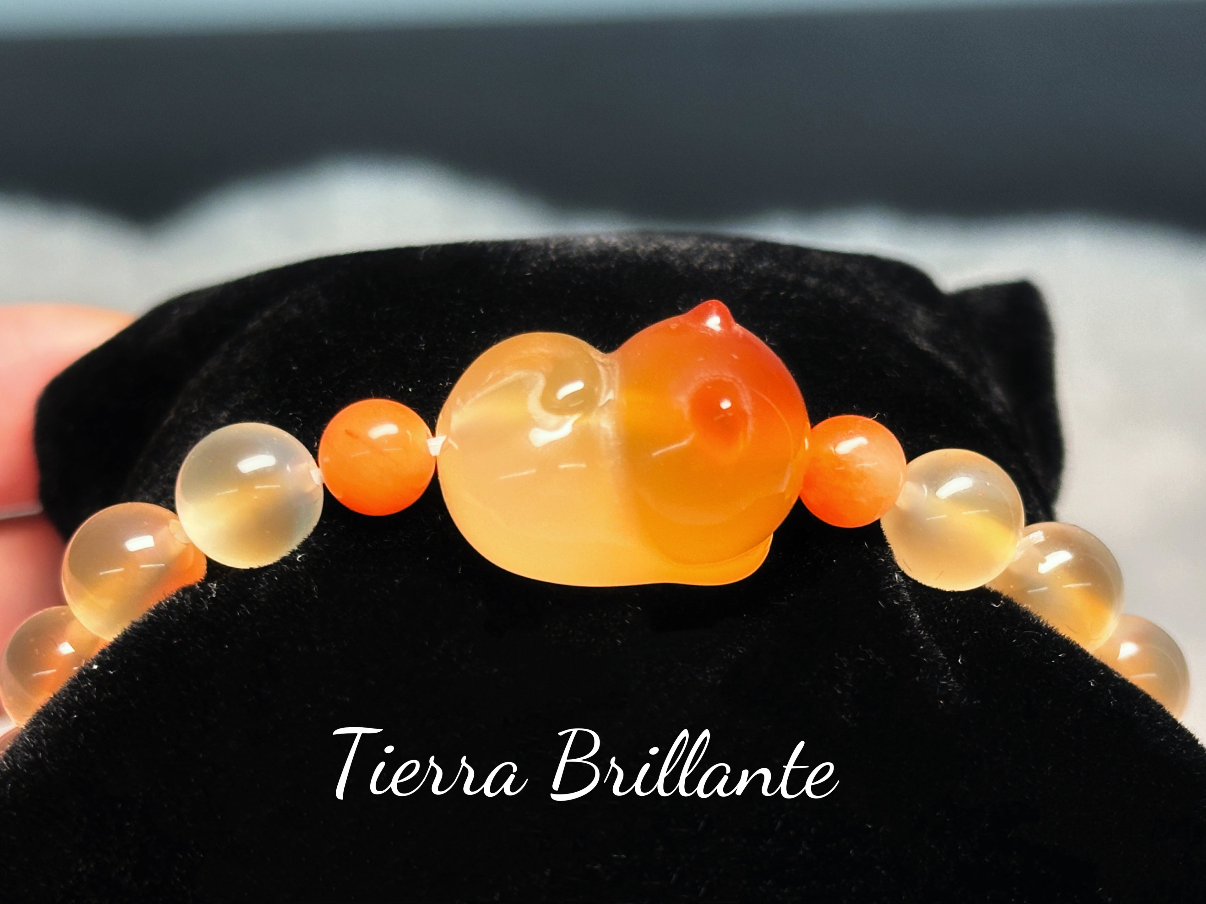 Cat · Bread Toast & Sweet Potato