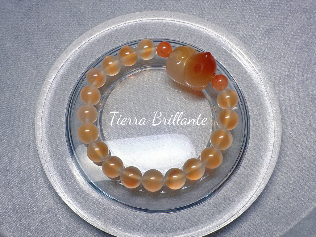 Cat · Bread Toast & Sweet Potato