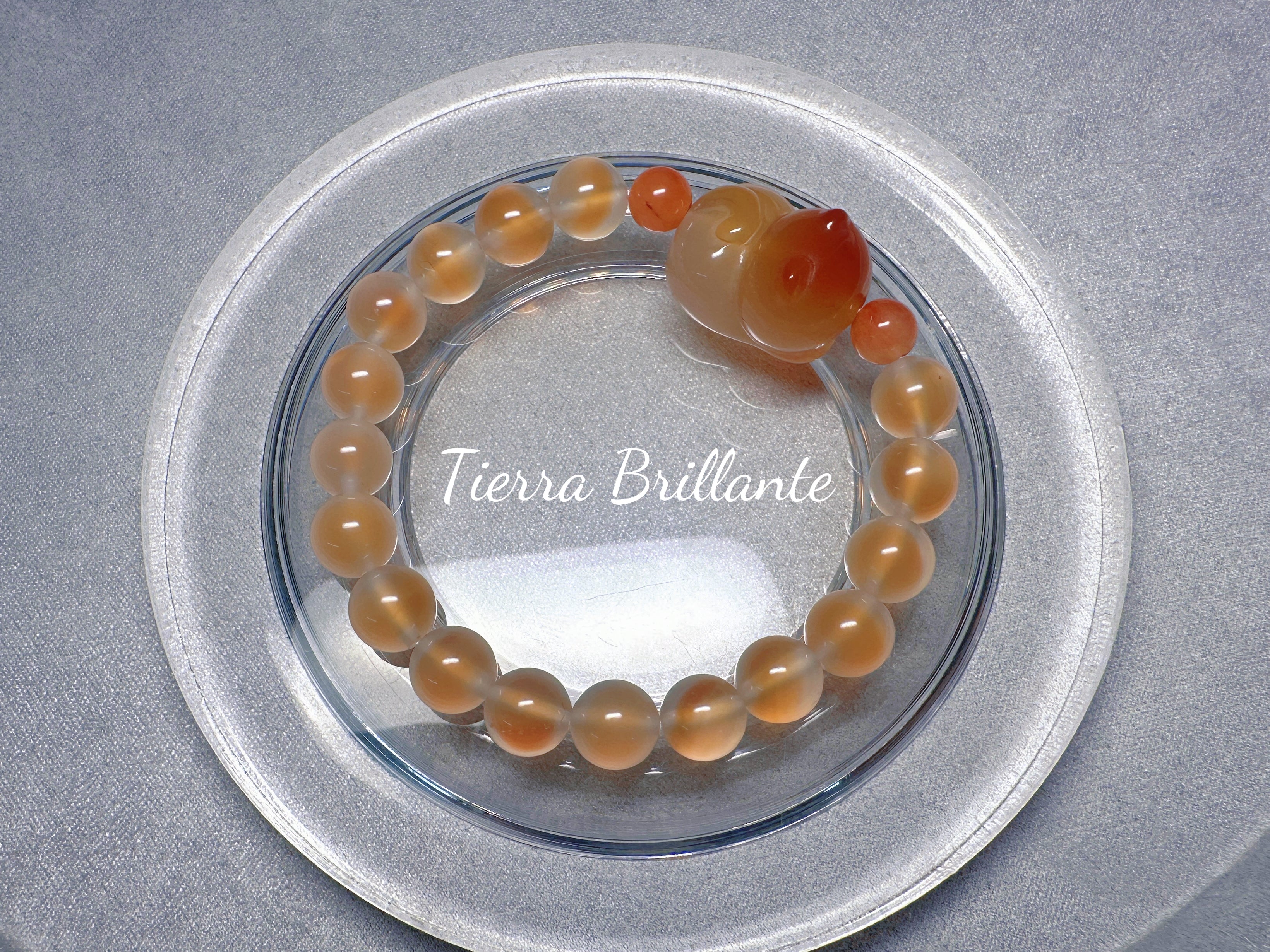 Cat · Bread Toast & Sweet Potato