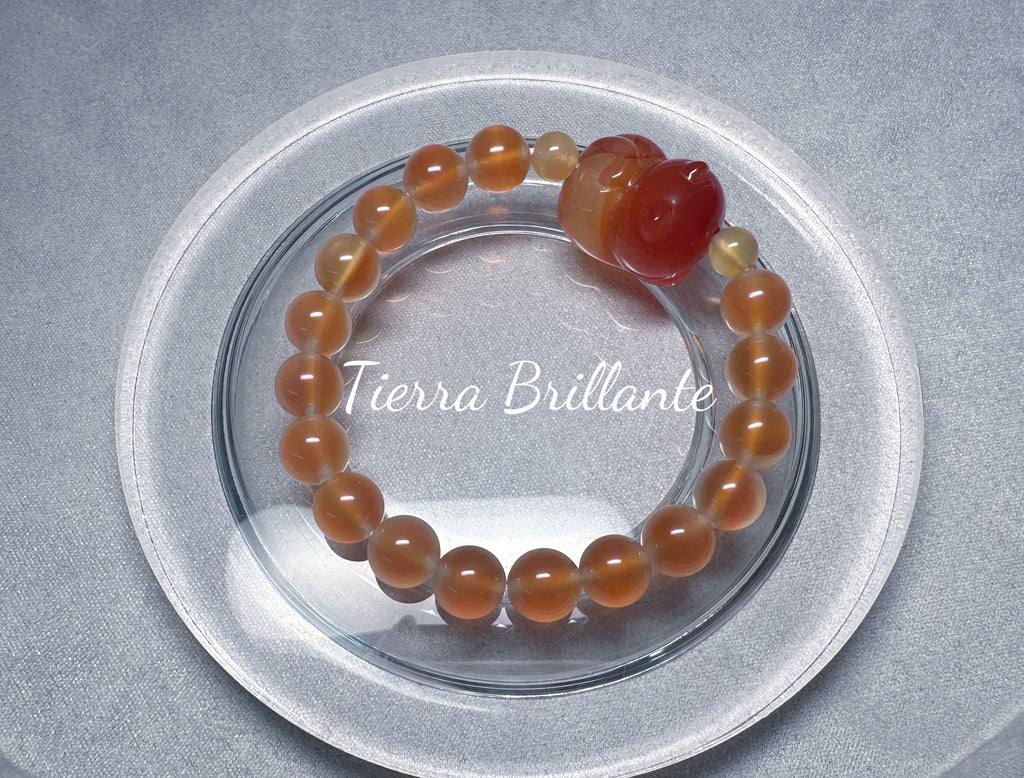 Cat · Bread Toast & Sweet Potato