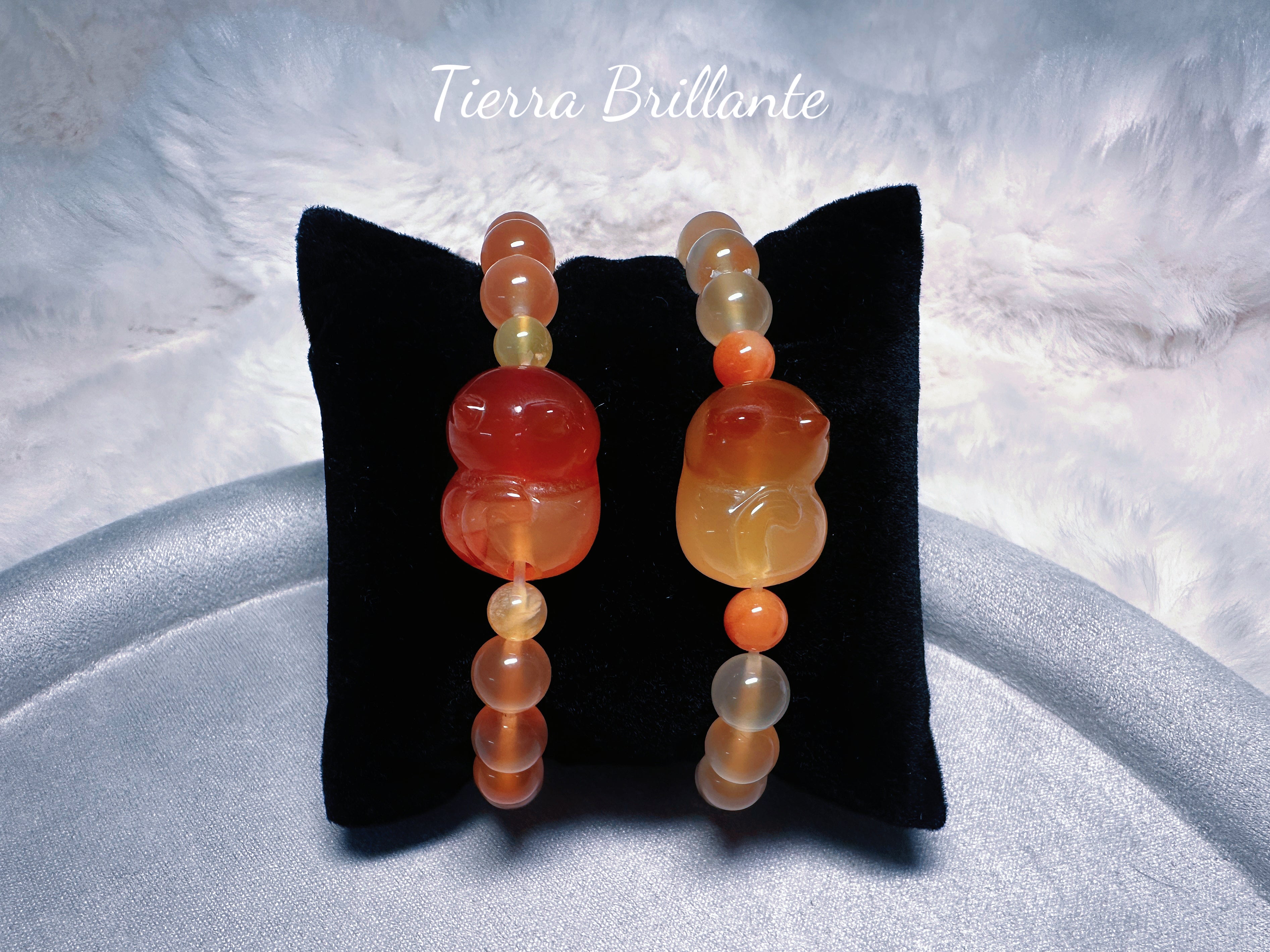 Cat · Bread Toast & Sweet Potato