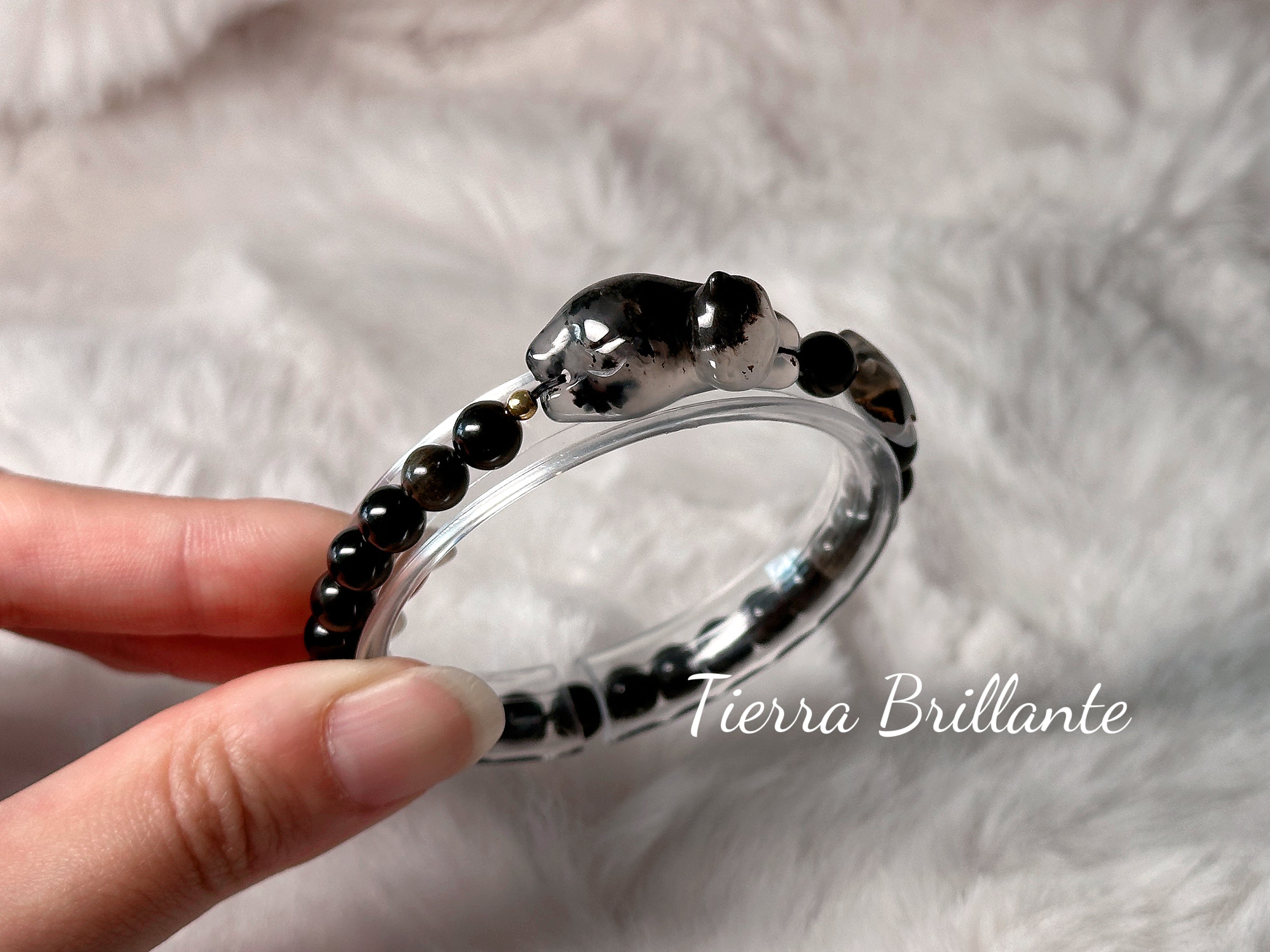 Cat · Tras las Estrellas