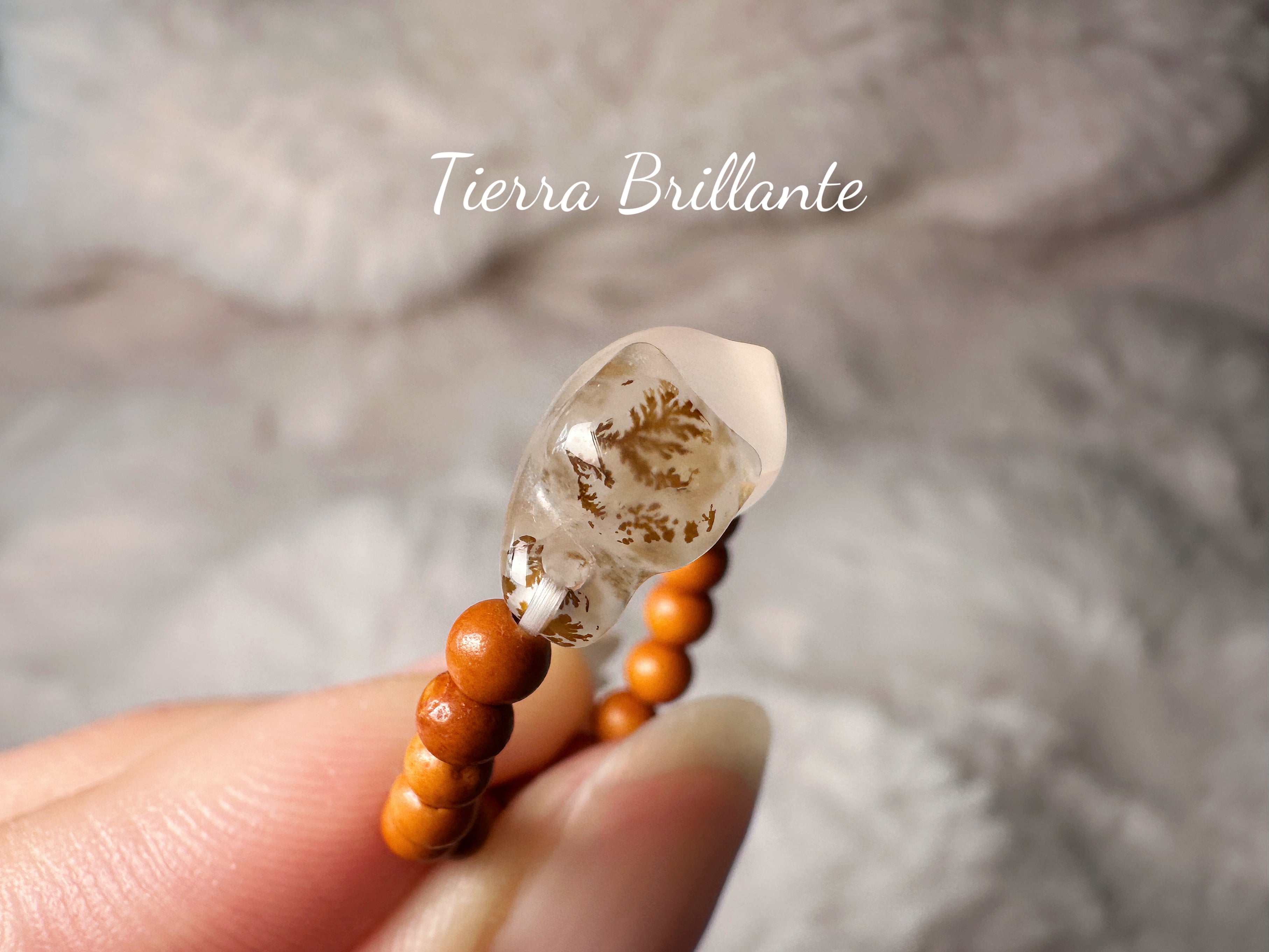 Cat·Gatito entre los dedos