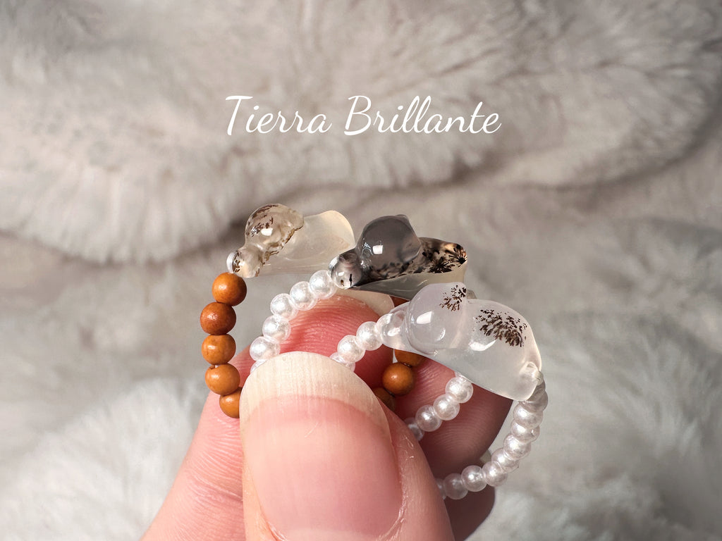 Cat·Gatito entre los dedos