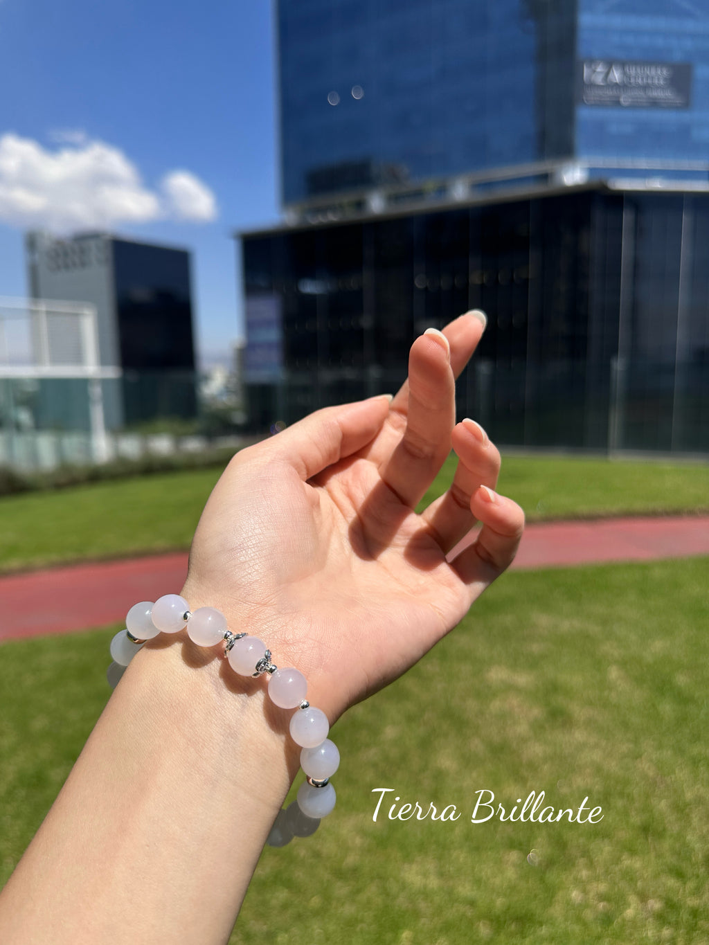 Edición Especial · Pura