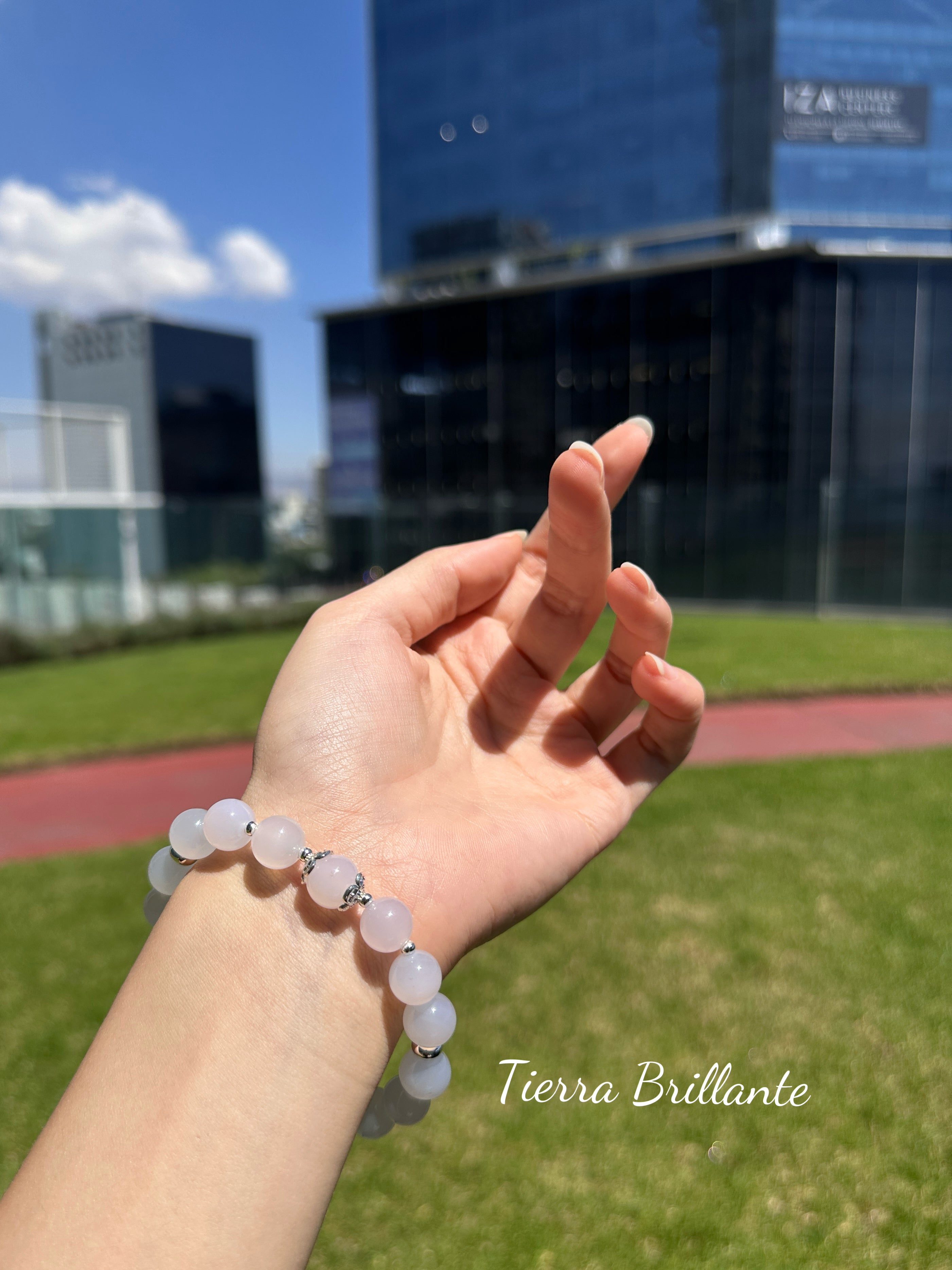 Edición Especial · Pura