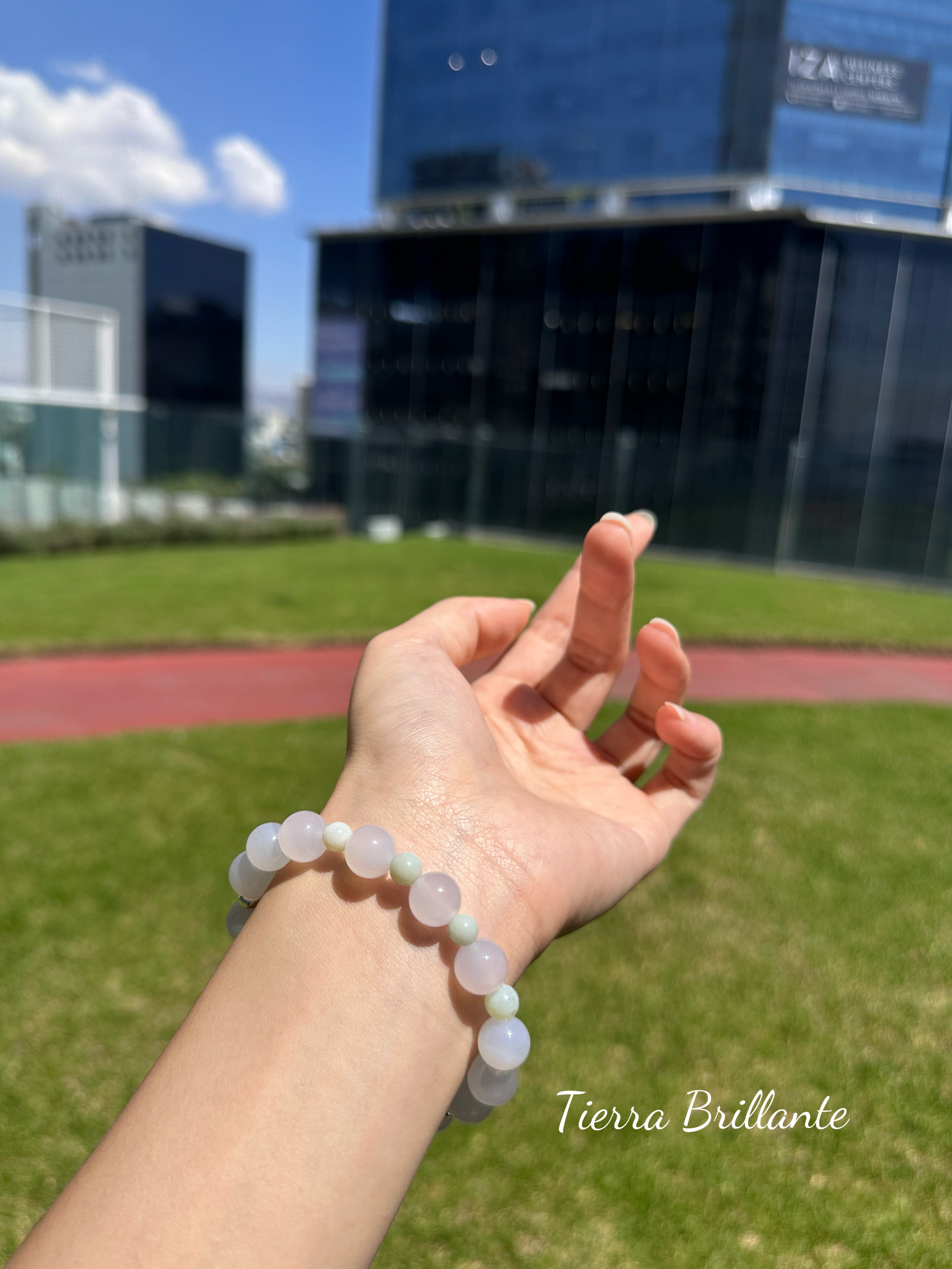 Edición Especial · Pura